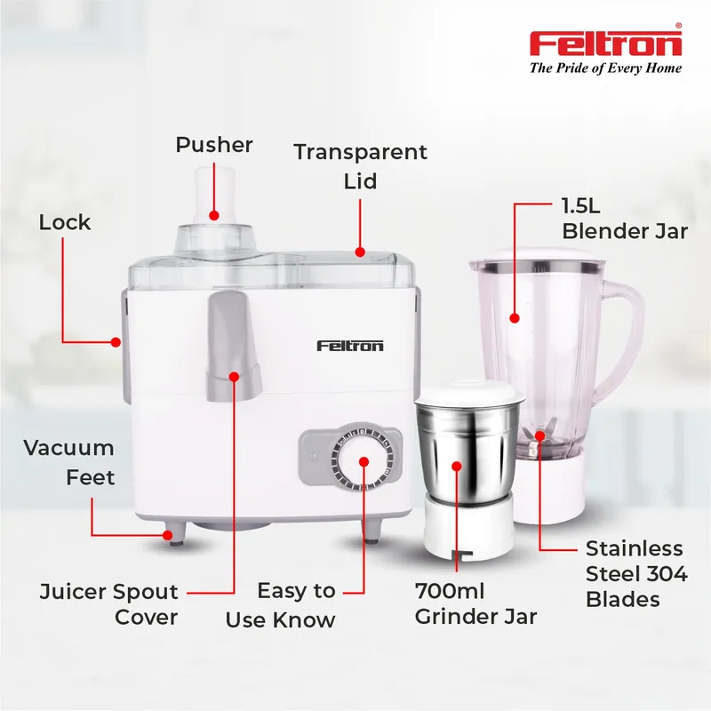 Feltron Juicer Mixer Grinder — image 2