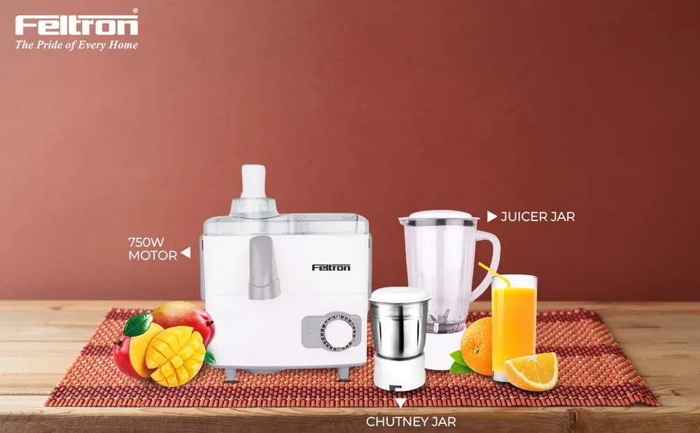 Feltron Juicer Mixer Grinder — details 2