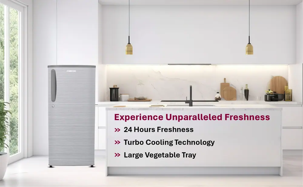 Feltron 215 Ltr 2 Star Direct Cool Refrigerator (Silver Hairline Texture) FIPL2402PHLGDX — details 2