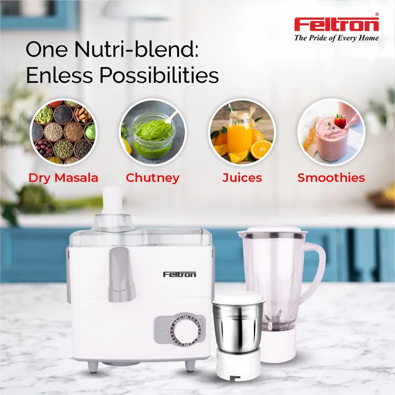 Feltron Juicer Mixer Grinder — image 4