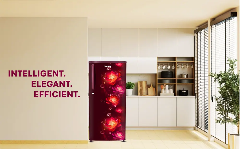 Feltron 215 Ltr 2 Star Direct cool Refrigerator (Wine Flower Texture) FIPL2402PCFWDX — details 1