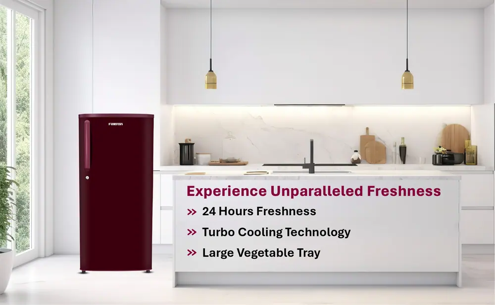 Feltron 190 Ltr 1 Star Direct Cool Refrigerator (Plain Wine Texture) FIPL2151PSPWDX — details 2