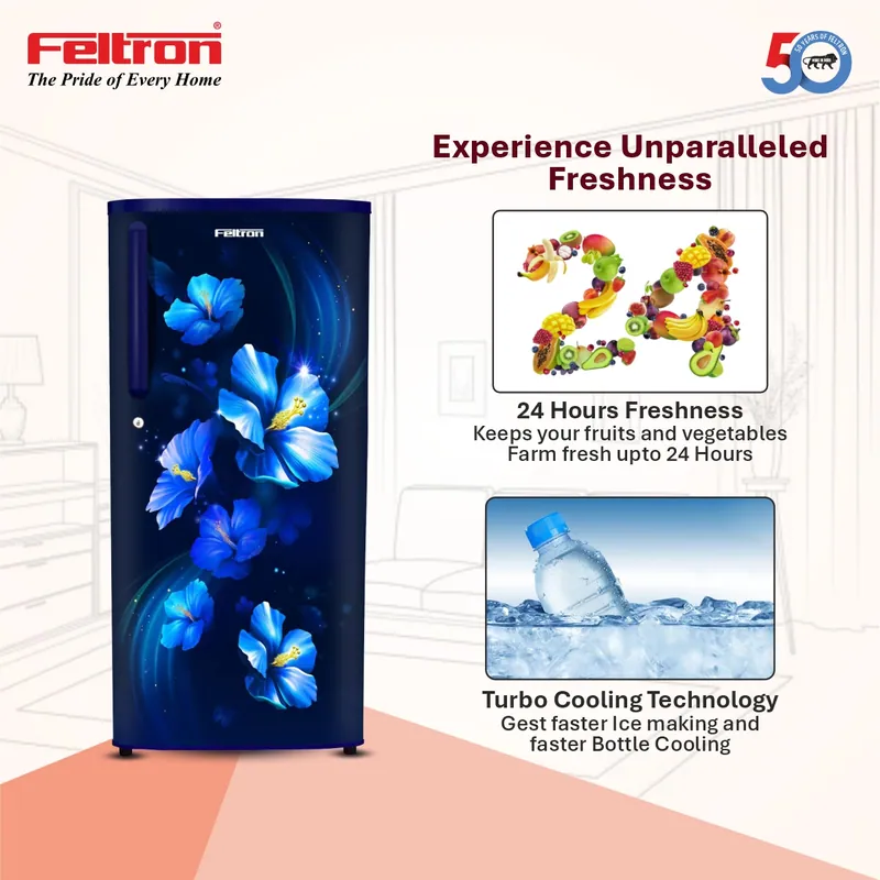 Feltron 230 Ltr 2 Star Direct cool Refrigerator (Blue Flower Texture) FIPL2552PBFBDX — image 2