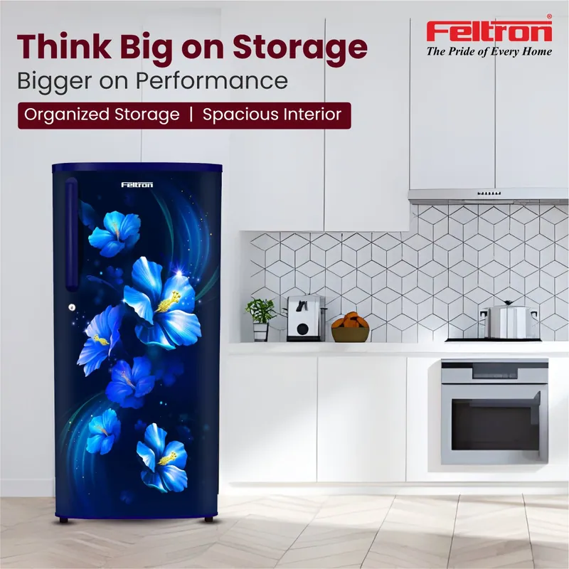 Feltron 230 Ltr 2 Star Direct cool Refrigerator (Blue Flower Texture) FIPL2552PBFBDX — image 1