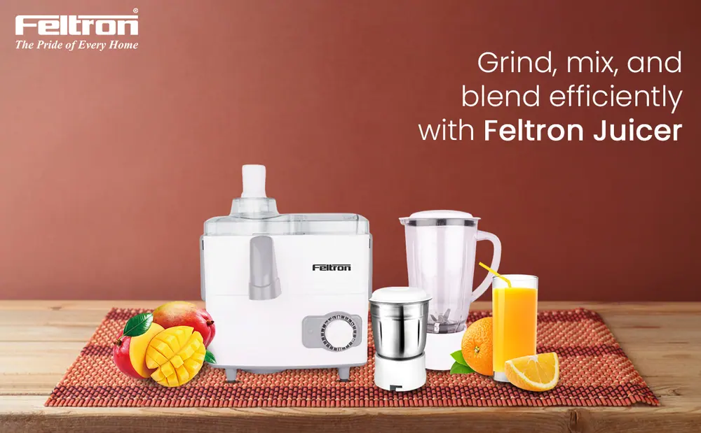 Feltron Juicer Mixer Grinder — details 1