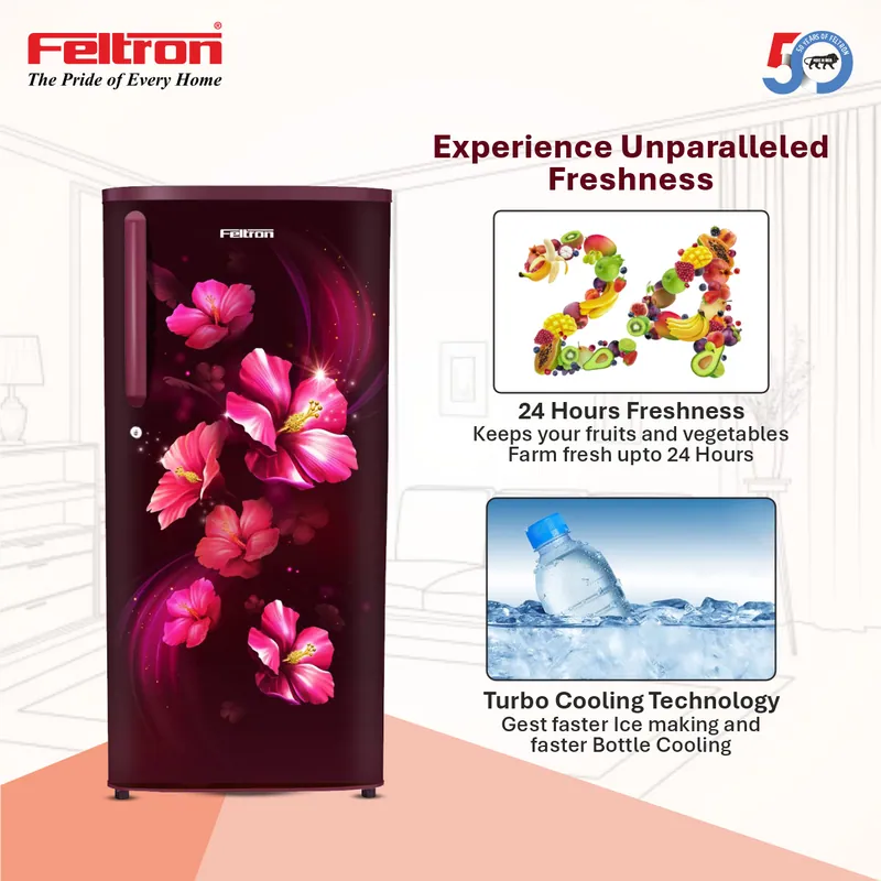 Feltron 230 Ltr 2 Star Direct cool Refrigerator (Wine Flower Texture) FIPL2552PBFWDX — image 2