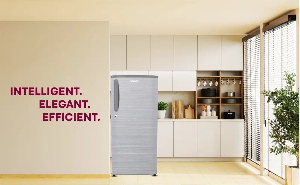 Feltron 215 Ltr 2 Star Direct Cool Refrigerator (Silver Hairline Texture) FIPL2402PHLGDX — details 1