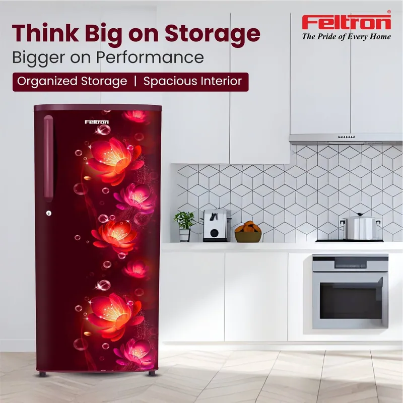 Feltron 215 Ltr 2 Star Direct cool Refrigerator (Wine Flower Texture) FIPL2402PCFWDX — image 1