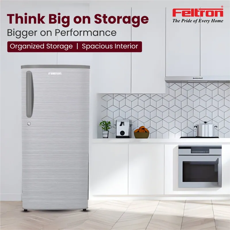 Feltron 215 Ltr 2 Star Direct Cool Refrigerator (Silver Hairline Texture) FIPL2402PHLGDX — image 1