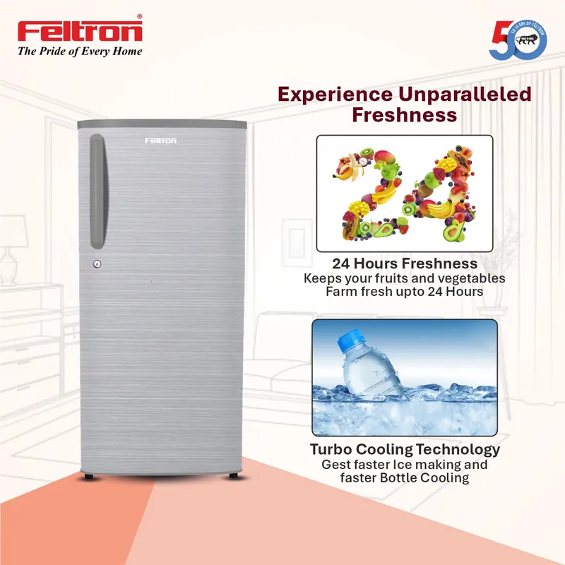 Feltron 215 Ltr 2 Star Direct Cool Refrigerator (Silver Hairline Texture) FIPL2402PHLGDX — image 2